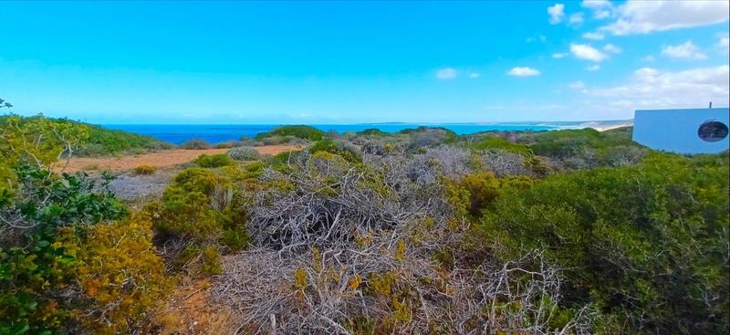 0 Bedroom Property for Sale in Moquini Coastal Estate Western Cape